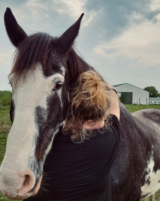 My Angel Horse: A Journey of Love, Redemption, and Healing