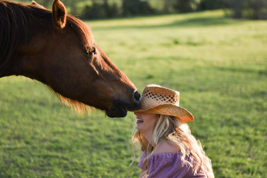 How My Horse Helped Me Through My Cancer Journey