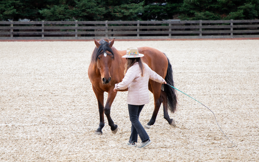 Magical Horsemanship