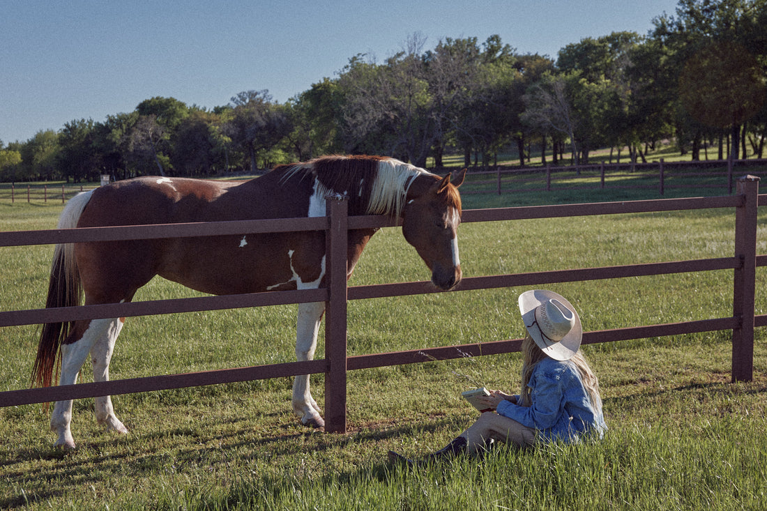 A Beginner's Guide to Buying Your First Horse – Miss Cowboy Club