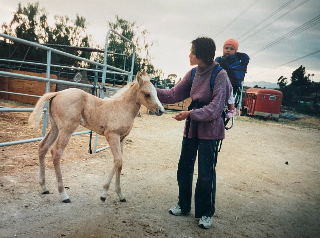 From Ballerina to Horseback: A Journey of Rediscovery